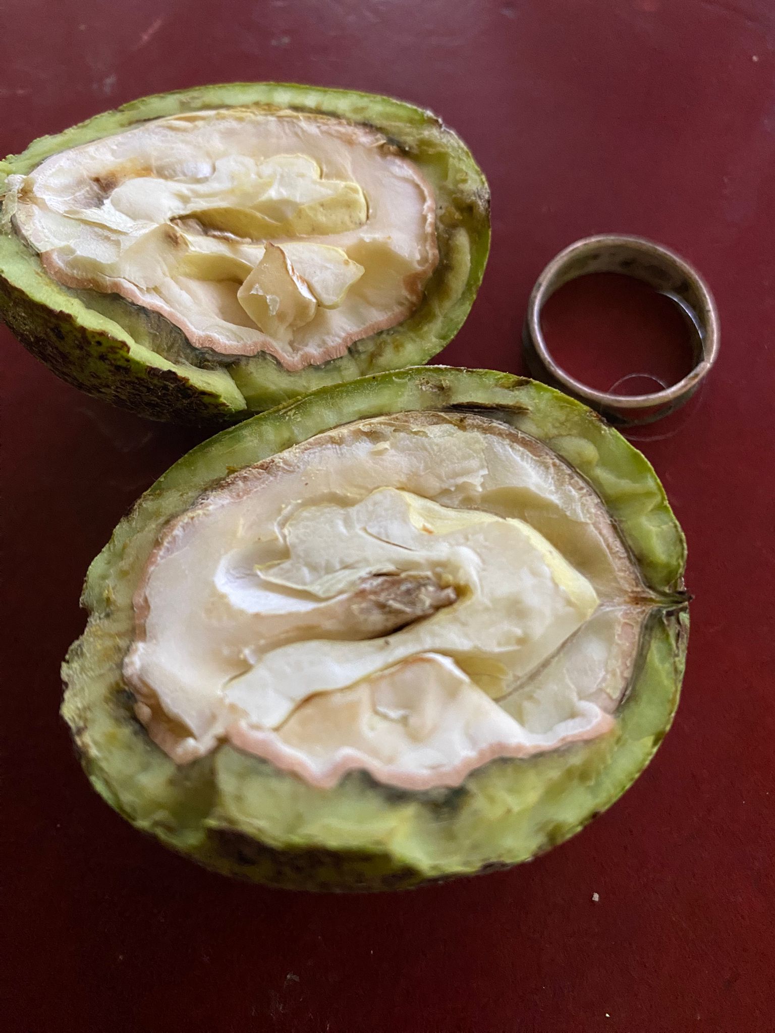 Feinschmecker - Sämereien